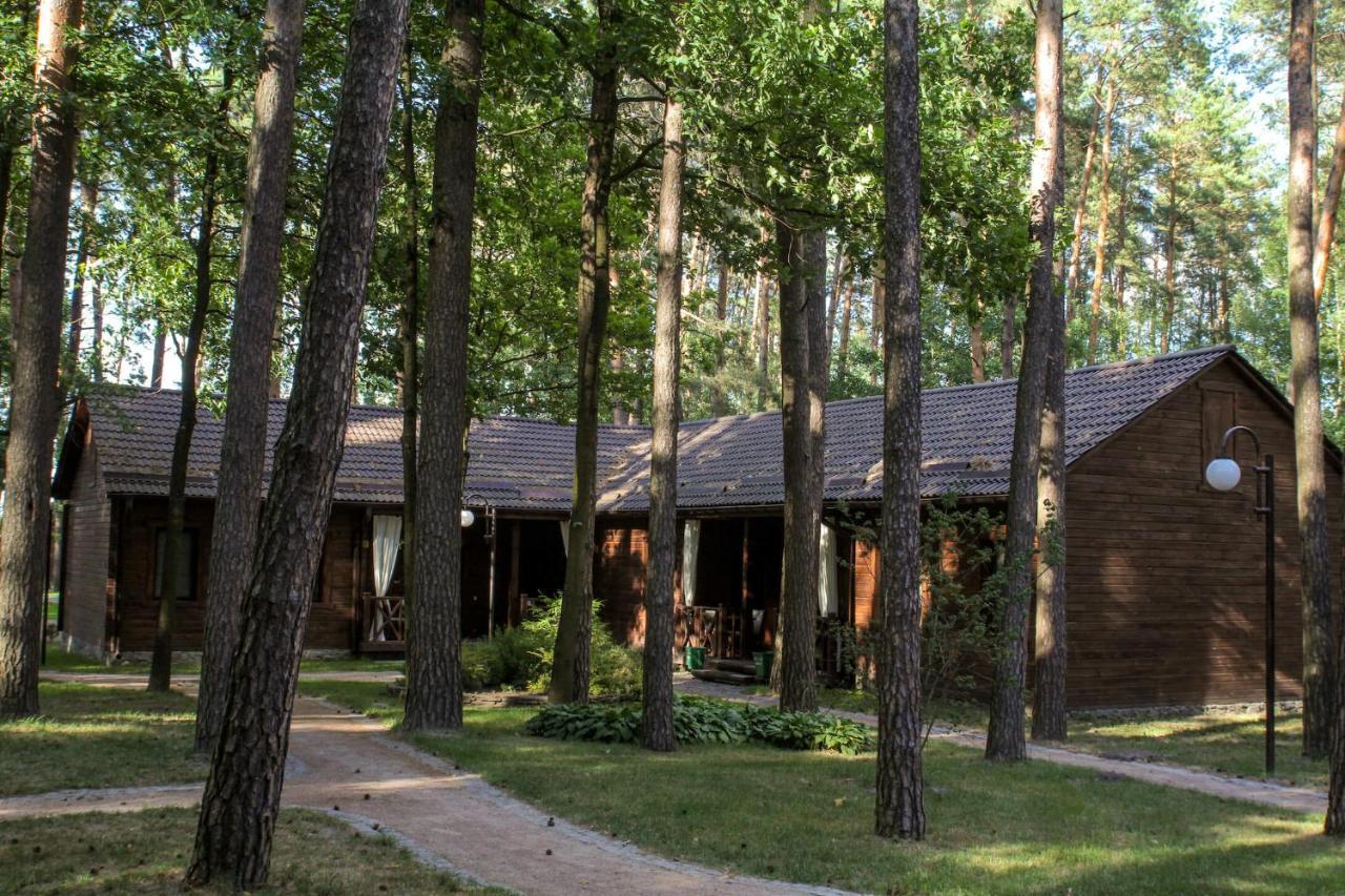 Chudodiyevo Park- Vyshpol